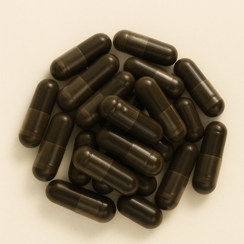 Chaga Capsules – 60 stuks