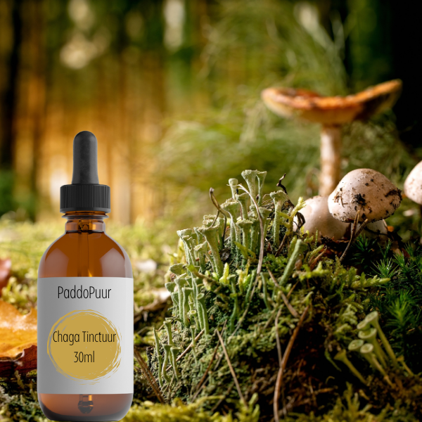 Chaga Tincture
