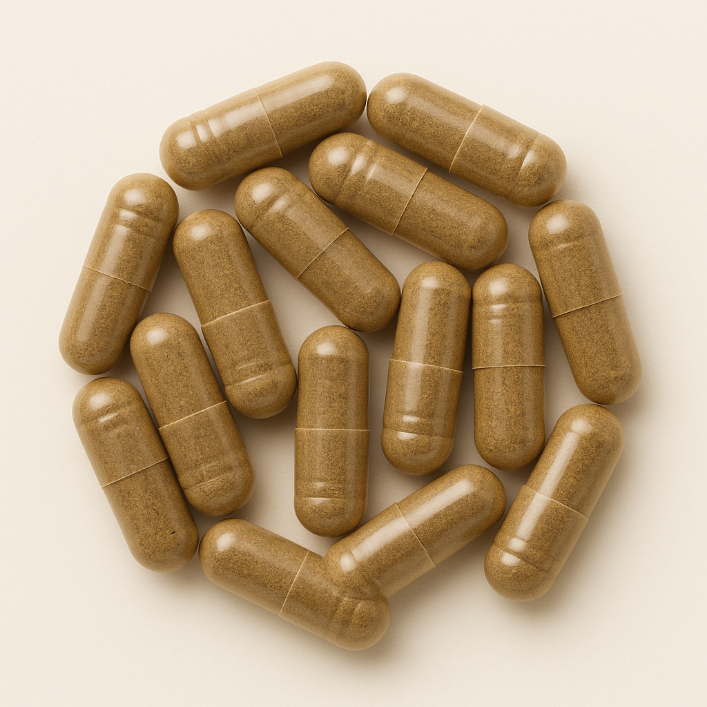 Lion’s Mane Capsules – 60 stuks