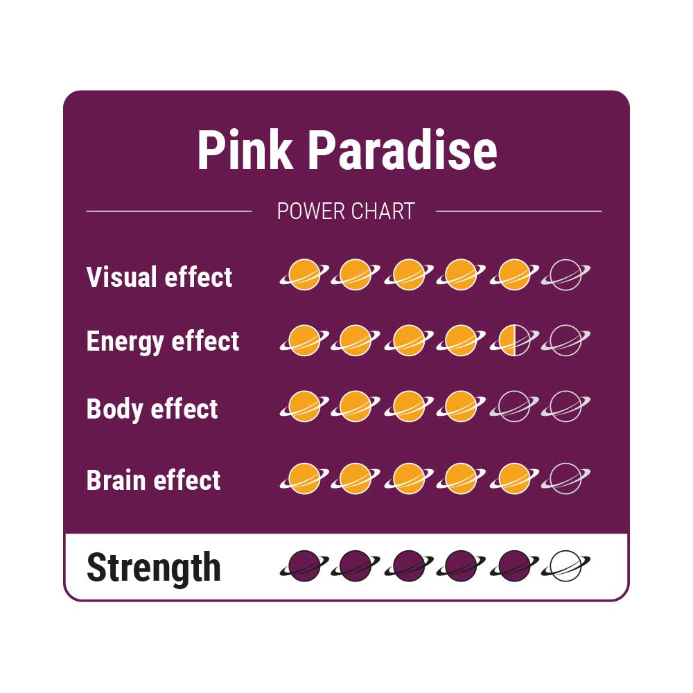 Pink Paradise - Truffels