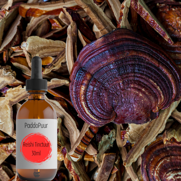 Reishi Tincture