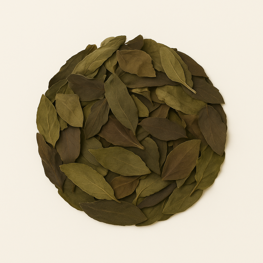 Salvia Divinorum Leaf - 5 gram